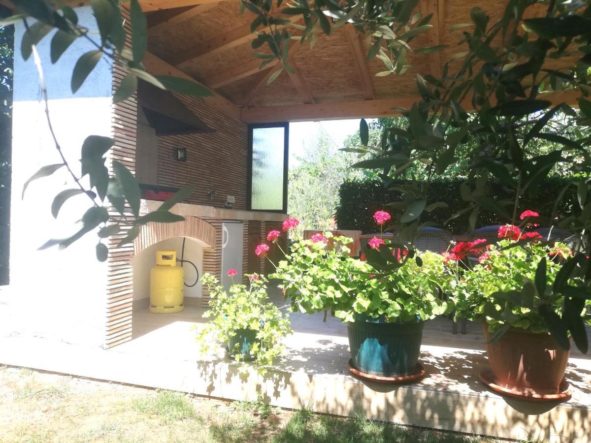 Mirela Appartement